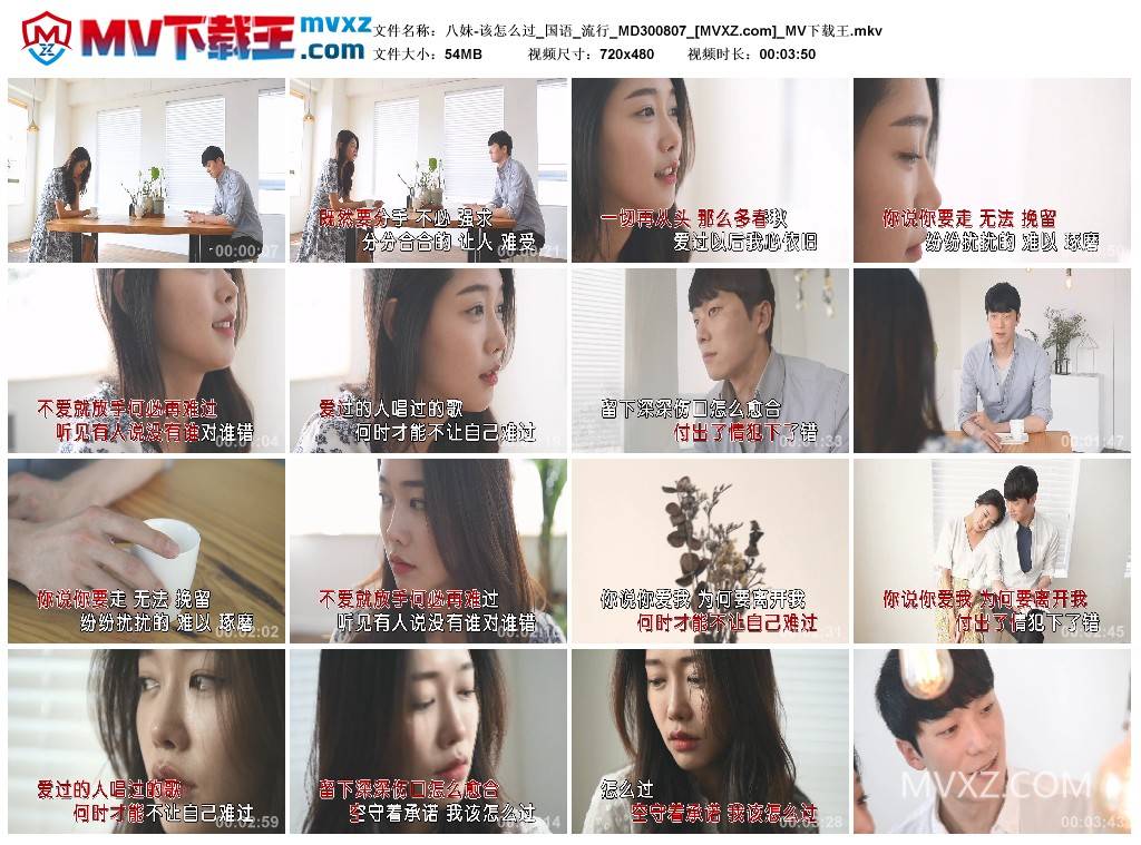 八妹-该怎么过_国语_流行_MD300807